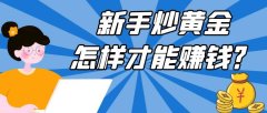 新手炒黄金怎样才能赚钱？国内正规的炒金平台有哪些