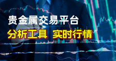 2025国内具有MT5系统的贵金属交易平台有哪些？