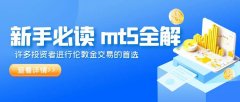 【新手必读】伦敦金mt5平台如何开户？全流程详解